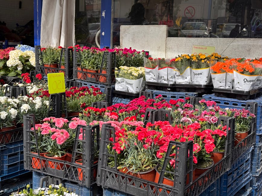 An outdoor display of fresh potted carnations in various shades of pink, red, white, yellow, and orange, arranged in black plastic crates for flower shopping. The carnations have lush green stems and