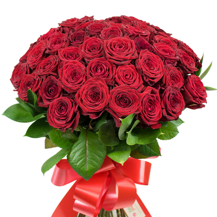 In your hands, this abundant bouquet of more than fifty vibrant red roses, arranged with care near the bustling Golders Green crossroads, feels like a distillation of pure romance. Each rose is placed just so-their petals densely layered and satin-soft, unfolding in elegant, labyrinthine spirals that invite touch and admiration. The surrounding foliage, bold and glossy with deep green veins, frames the sea of crimson blooms, grounding the composition with tranquil, natural beauty. Anchoring the bouquet, a wide ribbon of red satin encircles the tightly bound stems and is tied into a sumptuous multi-looped bow, its tails trailing down in a gesture as sweeping as a declaration of love at Hampstead Heath. In gentle, diffused daylight-like that filtering through the windows of a local Golders Green café-the roses cast subtle, shifting shadows upon one another, lending dimension to each intricate flourish and giving the bouquet a sense of living depth. There's a theatrical quality here, perfect for proposals, passionate anniversaries, or any spontaneous celebration along Finchley Road. Every element, from palette to composition, has been chosen with purpose by experienced local hands, offering a gift that speaks of tradition, affection, and artistry-heartfelt, generous, and perfectly at home in the vibrant Golders Green community.