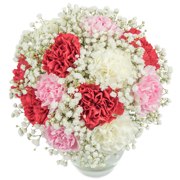 This lush, full-bodied floral bouquet, artfully prepared for Golders Green's diverse community, captures the timeless allure of traditional floristry with a modern touch. A harmonious arrangement of carnations-ranging from rich crimson and soft, powdery pink to pristine, creamy white-burst forth from a clear, gently rounded glass vase, creating a sense of abundance and celebration. Each carnation, petals ruffled and densely layered, appears to almost spill over the rim, while slender stems are discreetly revealed beneath the surface of the water, a subtle testament to the care of expert hands. Weaving between the bold carnation heads, a myriad of delicate white baby's breath introduces a soft, cloudlike dimension, lifting the composition with its airy, whimsical presence. Set against a clean white backdrop and illuminated by natural, balanced light, every hue and petal is showcased in its freshest, most vibrant state. The bouquet's rounded, almost spherical structure conveys a gentle cohesion, echoing the unity and warmth of Golders Green's local gatherings in parks and synagogues. This floral display is perfect for expressing affection, appreciation, or congratulations-whether marking a birthday along Golders Green Road, sending love across Finchley, or offering a thoughtful thank you to a neighbour. The classic arrangement stands as a symbol of enduring beauty, purity, and heartfelt sentiment, gracefully suited to celebrate life's special moments in the heart of NW11.