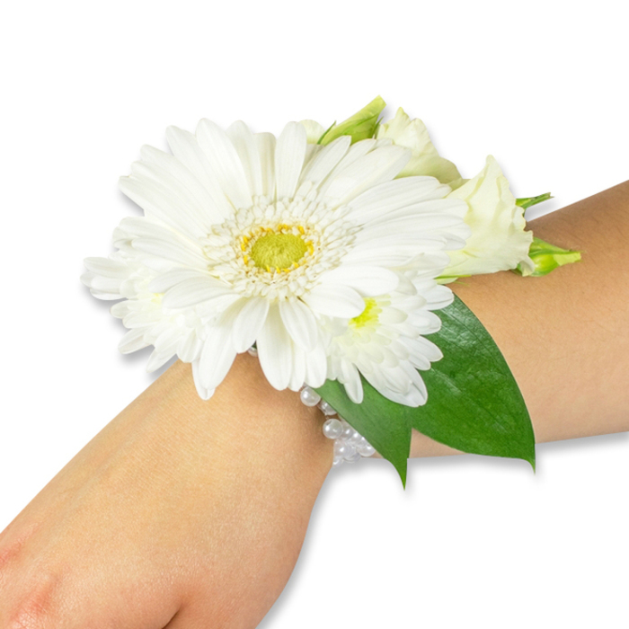 A striking white wrist corsage is pictured at a slight angle on a fair to medium forearm, photographed against a pristine white field that keeps all focus on the flowers. The composition is centred by a vivid white Gerbera daisy, its many soft, elongated petals unfolding symmetrically around a bright lime-green and yellow center that appears textured and lively. Nestled into the Gerbera's embrace are small, pillowy clusters of white spray chrysanthemums and the rounded, creamy forms of lisianthus buds-these smaller flowers give gentle depth and a layered softness. Broad, deep-green leaves-likely salal or ruscus-form a lush backdrop, framing the blooms and extending slightly along the forearm to create a pleasing botanical sweep. A refined, multi-strand bracelet of small white pearls secures the arrangement, the beads gleaming faintly and following the wrist's curve with quiet grace. The overall impression is classic and ceremonial, evoking the calm, reserved elegance you might expect at a Hampstead wedding or a thoughtful graduation on Finchley Road; the restrained palette of pure whites and deep foliage feels particularly at home near Golders Green's leafy streets and parkland. Light is soft and diffuse, revealing the petal textures and the delicate seam where bud meets bloom, while the implied scent is cool and green with a whisper of fresh cut stems. This corsage reads as handcrafted and dependable-an accessory made to be worn close to the heart during meaningful moments and neighborhood celebrations alike.