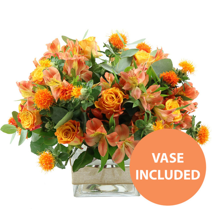 A vibrant bouquet in glowing shades of orange, yellow, and soft peach is photographed front and centre against a pristine white background, its colours radiating the same easy warmth you might feel on a stroll through Golders Hill Park. The main stars of the arrangement are sumptuous orange roses, some shading gently into golden yellow at their centres, their petals layered in soft spirals that suggest both richness and comfort. Interspersed among them are bright yellow garden-style roses, compact yet full, whose tightly furled petals create a slightly more structured silhouette. Between these larger blooms, clusters of peach and light orange alstroemeria, or Peruvian lilies, add movement and lightness; their slender, trumpet-like petals carry fine speckles and stripes, adding intricate detail that rewards a closer look. Dotted throughout the design are distinctive, small, spiky orange spheres, similar to safflower or thistle heads, offering a bold textural counterpoint and making the bouquet feel dynamic and contemporary. A generous collar of greenery surrounds the flowers: silvery eucalyptus leaves with their soft, matte finish mix with deeper green foliage, building volume and framing the brighter tones. The stems are gathered neatly into a clear, square glass vase, allowing the viewer to see the natural stems and sparkling water, reinforcing the idea of freshness and florist craftsmanship. Around the middle of the vase, a band of natural beige burlap or jute is wrapped securely, introducing a rustic, handmade accent that would suit both modern apartments along Finchley Road and traditional homes off Temple Fortune. In the bottom right corner of the image, a circular orange graphic with crisp white letters states VASE INCLUDED, clearly indicating that this elegant, autumn-leaning arrangement is delivered as a complete, ready-to-display floral gift for birthdays, congratulations, or cosy seasonal gatherings in Golders Green.