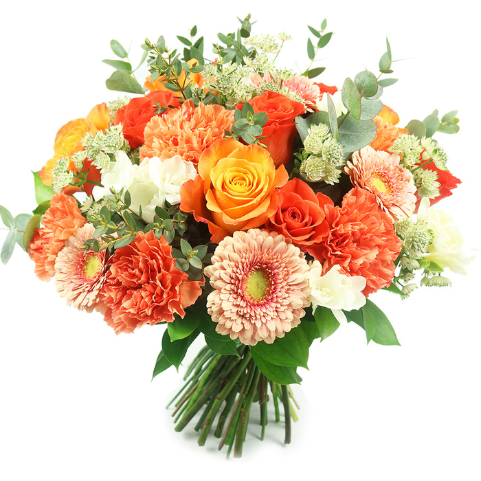 Presented upright against a crisp white field, this luxurious bouquet balances bold colour and refined texture in a densely arranged, hand-tied design that feels both abundant and carefully composed. Dominant orange and golden roses create a regal focal point, their layered, velvety petals unfurling in tight, elegant spirals; some blooms are fully open to showcase their depth, while a few remain in tighter bud form to suggest longevity and movement. Plush coral and burnt-orange carnations provide generous volume, their frilled petals introducing a sumptuous, tactile quality that contrasts with the flatter, sunlit faces of peach-gerbera scattered through the arrangement. Each gerbera carries a subtle yellow-green eye that quiets the warmth with a fresh, modern note. Fine clusters of white filler blooms-resembling delicate freesia or tiny spray chrysanthemums-are strategically placed to brighten and lift the composition, while pale-green, astrantia-like sprays add an airy, botanical lace effect. Throughout, silvery eucalyptus leaves with their rounded, muted foliage create a calm, verdant framework that enhances the bouquet's sophisticated palette. The stems are expertly gathered and bound at the base, ready for placement in a vase, and the scent blends the roses' heady sweetness with the cool, herbal lift of eucalyptus. Ideal for autumn gatherings, celebratory milestones, or as a refined centrepiece for a Hampstead Garden Suburb sitting room or alively table on Golders Green Road, this arrangement communicates warmth, generosity and professional floral craft with local sensibility and seasonally aware design.
