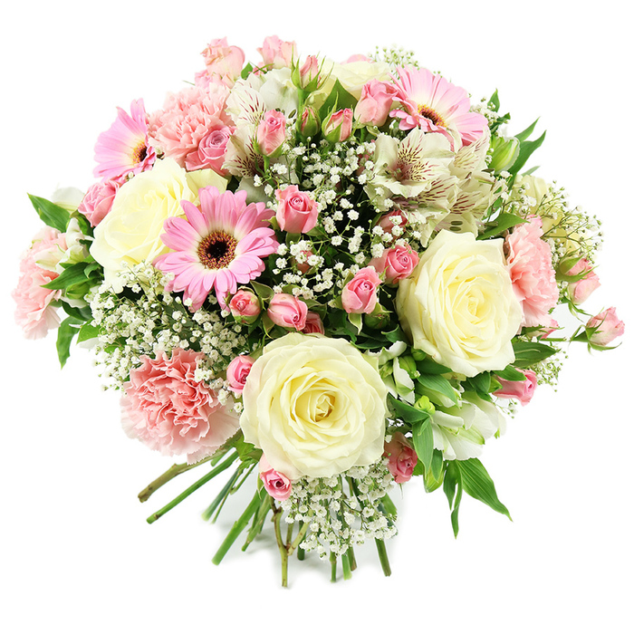 This image shows an abundant, carefully composed bouquet of pastel flowers set against a bright white backdrop, giving a clean, contemporary feel that highlights each detail of the design. Cream and ivory roses form the main focal points, their petals layered in soft spirals that draw the eye inward, suggesting timeless romance and quiet luxury in a Golders Green home. Threaded between them are smaller pink spray roses in varied blush tones, some tightly closed and others opening into miniature rosettes, which add depth, dimension, and a whisper of cottage-garden charm. The bouquet is lifted by vivid pink gerbera daisies whose broad, flat petals and rich brown centres provide cheerful focus points, like joyful exclamation marks within the softer palette. Pale pink carnations, with their full, frilled heads, expand the shape of the arrangement and introduce a plush, tactile texture reminiscent of ruffled fabric. White alstroemeria, touched with fine streaks and speckles of reddish-brown near the throat of each flower, offer lightness and intricacy, appearing almost like brushstrokes in a painting. Tiny white gypsophila is scattered generously throughout, creating a haze of delicate blooms that soften edges and add a romantic, almost bridal air. The surrounding greenery, in fresh mid-green shades, supports and frames the flowers, with hints of leaves and stems visible through gaps, suggesting a natural, garden-inspired style. At the base, the stems are smoothly aligned and tied, reflecting expert craftsmanship by local florists serving the Golders Green area, from Temple Fortune to Childs Hill. The overall mood is warm, celebratory, and refined, suitable for birthdays, anniversaries, Mother's Day, or a heartfelt gesture of gratitude delivered to homes and workplaces near Golders Green Road and the surrounding neighbourhood.