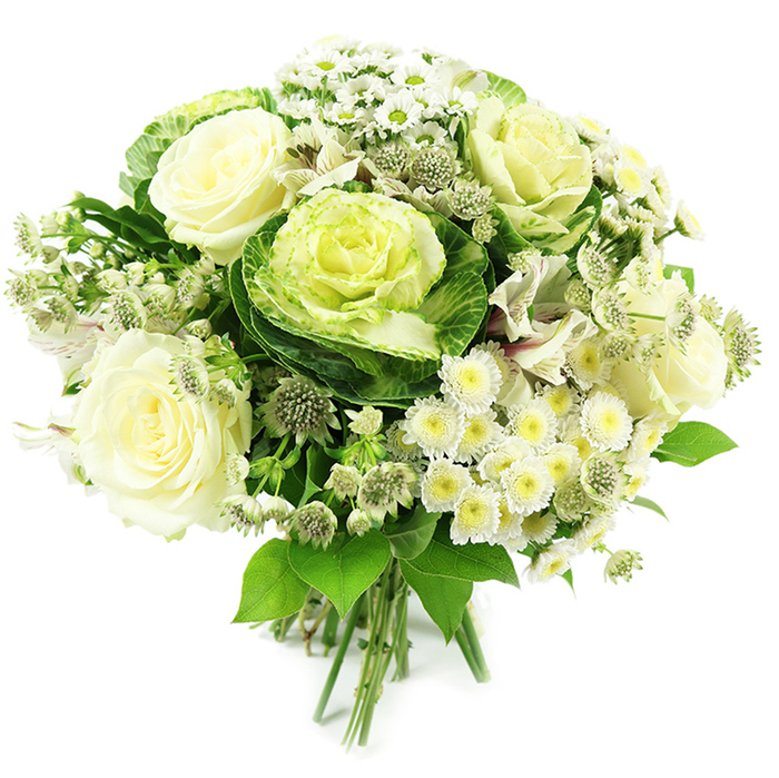 This image shows an elegant, carefully crafted white and green bouquet, photographed against a plain white background so every bloom appears crisp and true to colour. At the centre sit several creamy white roses, fully open and luxurious, each petal gently curving outward in soft layers that hint at a classic, comforting scent. Interlaced with the roses are striking ornamental kales, their deep green outer leaves folded like protective wings around finely ruffled cores of pale lime and soft yellow-green, giving the bouquet a distinctive, contemporary character often requested by clients in Golders Green looking for something a little different. Scattered among these focal flowers are clusters of petite white spray chrysanthemums and daisy-like blossoms, each one with a small yellow or yellow-green eye, creating a cloud of tiny petals that lightens the dense, rounded form of the arrangement. Delicate, star-shaped flowers similar to white and green astrantia extend on slender stems between the larger heads, adding airy spikes of texture and a slightly wild, garden-picked feeling, reminiscent of walks through nearby Golders Hill Park. Subtle white alstroemeria blooms, some with faint striped markings and touches of cream or very soft lavender tones at the throat, peek from within the foliage, deepening the visual interest without disturbing the restrained palette. Enveloping all of this is a rich frame of fresh greenery-broad, glossy leaves, narrower stems, and varied textures that emphasise the bouquet's fullness while keeping it natural and not overly formal. The stems are clearly visible at the base, neatly bound in the manner of a hand-tied design, ready to slip into a tall vase in a Golders Green living room or to be delivered as a thoughtful wedding, anniversary, or sympathy gift that communicates purity, calm, and refined taste.