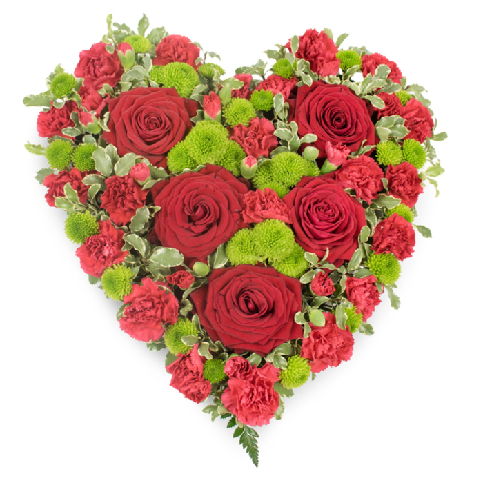 A meticulously arranged heart-shaped floral tribute fills the frame, set against a neutral white background that emphasises its rich colours and precise craftsmanship. The heart is completely covered in flowers, with no gaps, giving it a lush and generous appearance, ideal for a poignant funeral display or memorial service in Golders Green. Dominating the design are several large red roses, placed evenly across the heart to draw the eye from top to bottom. Each rose is in prime condition, with tightly packed, velvety petals that curl outwards in smooth, spiralling layers, creating a sense of depth and quiet elegance. Between these focal blooms, clusters of red carnations and spray carnations are packed closely together, their smaller, crimped petals giving the arrangement a soft, cushioned texture and intensifying the overall crimson tone. Punctuating the sea of red are clusters of bright lime-green button chrysanthemums, their neat, spherical shapes and fine, almost moss-like petals offering a striking contrast that feels fresh and contemporary. Around the edges, small sprigs of variegated pittosporum foliage in two-tone green and cream peek out, tracing the outline of the heart and adding a gentle, leafy frame. At the tapered bottom, a few slender fern fronds extend delicately, lending a natural, slightly trailing finish. The flowers appear freshly cut, as if prepared early in the morning by Flowers Golders Green for delivery to a chapel of rest on Hoop Lane or a service near Brent Cross. Emotionally, the design balances passion, devotion, and respect, making it a meaningful choice for honouring a life with beauty and tenderness.