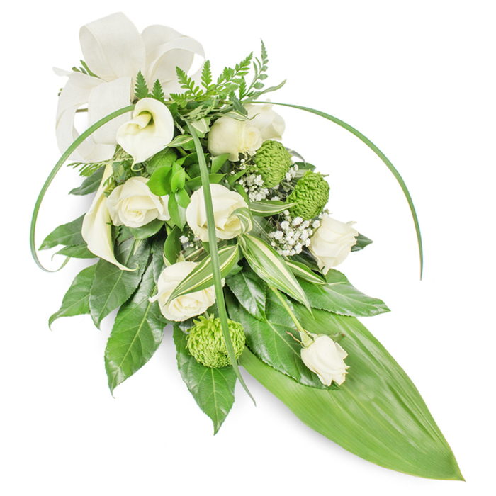 A refined sympathy spray in a teardrop cascade, captured against a white backdrop in gentle, even light that highlights both texture and line. The arrangement centres on several creamy white roses-some open and gently layered, others in compact bud form-evoking tenderness and memory. To the upper left, a pair of sculpted white calla lilies rise with architectural purity, their smooth funnels offering a symbol of grace and calm. Contrasting the soft whites are vivid lime-green button chrysanthemums whose dense, buttoned heads add luminous, tactile interest and modernity. Delicate clusters of baby's breath (Gypsophila) float between the main blooms like soft, ephemeral breath, lending air and a finely dotted texture. The greenery is thoughtfully layered: deep, glossy foliage anchors the lower body; variegated leaves with crisp white stripes introduce light and pattern; feathery fern fronds at the crown bring a suggestion of woodland coolness. Two long, slender blades of bright green foliage sweep across the composition, guiding the eye toward the tapered point formed by a single broad, smooth bright green leaf that creates the elongated tail. A muted off-white fabric bow at the top left provides a formal and consoling finishing touch. Suited to funerals, memorials, or graveside tributes, this arrangement conveys respect, quiet dignity, and solace-an assured, carefully balanced expression often requested by families in Golders Green and nearby Hampstead Garden Suburb when they seek an understated, contemporary memorial bouquet.