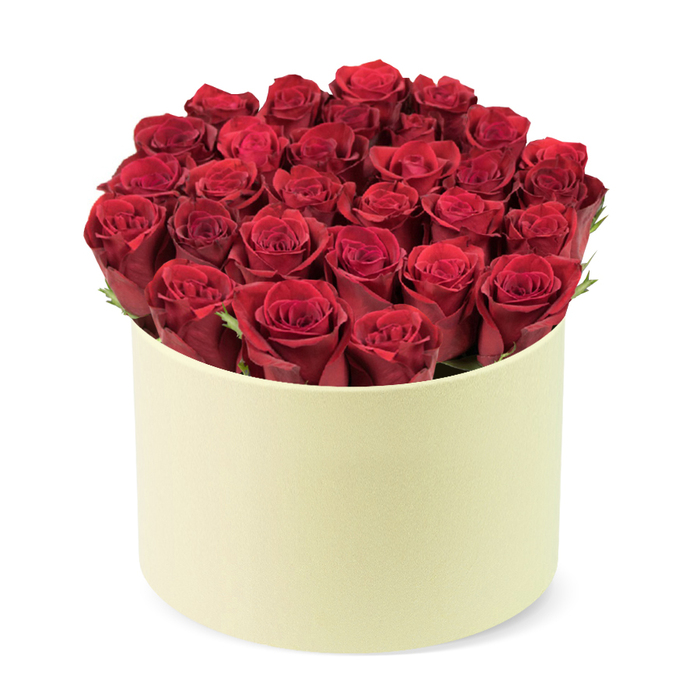 At the heart of Golders Green, this elegantly composed rose box speaks of refined romance. The arrangement features dozens of deep red roses, more than twenty, their velvety layers forming a compact, rounded dome inside a round cream-colored cylindrical box. The petals are tightly furled, a sign of prime freshness, while narrow openings reveal hints of dark green foliage that threads through the blooms, providing a natural contrast to the ruby depths. The box's matte cream finish gives a soft, sophisticated backdrop, reminiscent of a chic hat-box ready for a premium delivery to a doorstep near Golders Green Road, Hoop Lane, or near the leafy paths around Golders Hill Park. The three-quarter elevated angle emphasizes the dome shape and the seamless packing, as though each rose was placed by hand with patient care. The white background isolates the arrangement, allowing the eye to travel from petal to petal and into the quiet glow of the color. This image embodies love, passion, and celebration-the perfect companion for Valentine's Day, an anniversary, or a special milestone reached with someone special in the local area. The scent of roses would be strong if you could detect it, the soft velvet texture inviting a gentle touch, and the sturdy, pale box promising lasting keepsake value. A gift of this caliber, delivered with skillful precision across Golders Green and nearby suburbs, carries a message of devotion that resonates with friends, families, and sweethearts alike.