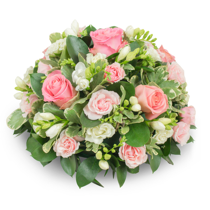 An expertly formed, cushion-like floral arrangement in a rounded dome, composed mainly of soft pink roses and pristine white freesia, with richly textured foliage creating a verdant frame. The roses vary in scale from fully opened, velvety blooms revealing concentric petals to smaller spray roses that add layered punctuation and gentle tonal shifts from blush to warm pink. Interspersed among them, clusters of white freesia add upright, tubular structure; some freesias are wide open with their delicate yellow stamens visible, while others remain slender buds that promise to unfurl over the next day or two. The greenery is deliberate: broad, glossy dark-green leaves provide a dense backdrop, while variegated leaves with creamy margins offer bright contrast and visual sparkle. The arrangement is densely packed so that no stems show, creating a formal, three-dimensional silhouette that casts a soft shadow on the white surface beneath. Natural light brings out the velvety texture of petals and the sheen on leaves, and the overall colour scheme reads as serene and comforting.
Prepared by Flowers Golders Green for local occasions, this composition feels equally appropriate for a memorial service, a bedside get-well bouquet, or a restrained celebration of a new life. It suggests a gentle scent of freesia mingled with the warmth of rose, and demonstrates careful florist technique: balanced colour placement, attention to bud progression, and a tidy, domed finish. Ideal for delivery within Golders Green - whether to a family home near Golders Hill Park or to a nearby chapel along Golders Green Road - it communicates sympathy, warmth, and quiet elegance.
