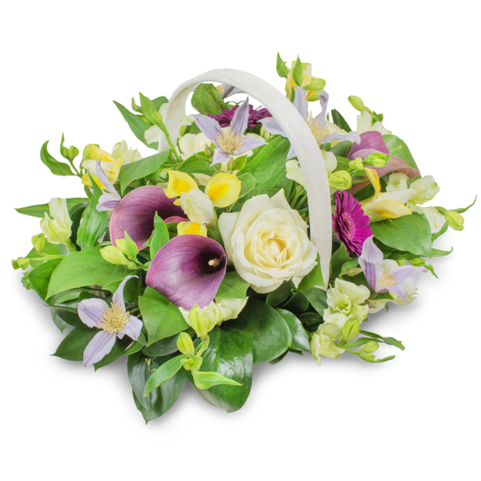 A detailed image shows a beautifully composed funeral flower basket, photographed against a clean white background that emphasises the colours and textures of every bloom. The basket is woven in a soft, off-white shade and features a sturdy, gracefully arching handle, giving the design a traditional yet gentle presence that would sit comfortably in a chapel of rest or a family home in Golders Green. From the centre rises a large, creamy white rose, its tightly furled petals spiralling inward, symbolising serenity and enduring love. On either side, two deep purple calla lilies curve upwards, their smooth, trumpet-like spathes and dusky tones bringing a sense of quiet elegance and gravitas. Around them, smaller clematis-like flowers in pale lavender and lilac extend delicate, star-shaped petals, the soft hint of yellow at their centres adding a subtle glow. Bright yellow and crisp white filler flowers, reminiscent of alstroemeria or freesia, dot the arrangement, their petite, bell-like shapes bringing texture and a feeling of gentle optimism. A single magenta gerbera daisy, positioned towards one side, radiates colour with its layered, daisy-like petals, like a joyful memory within a solemn moment. The flowers sit in a mound of rich green foliage, including broad, glossy leaves and lighter, more feathery sprigs that spill naturally over the basket's edge, creating depth and fullness. The lighting is even and natural, casting a soft shadow that grounds the basket and adds realism. Crafted with care that reflects the work of experienced local florists, this arrangement feels thoughtful and comforting, suitable for expressing sympathy, marking a funeral service, or offering a heartfelt tribute to a loved one in the Golders Green community.