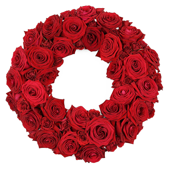 A vibrant, circular wreath crafted entirely from dozens of fresh, deep red roses stands out against a stark white background. The wreath is densely packed, creating a lush texture composed of roses in various stages of bloom and size. Predominantly, large, fully opened heads with velvety petals form the main body, revealing their intricate spirals and rich ruby-red hues. Smaller, partially opened blooms and clusters of miniature blossoms are interspersed throughout, filling gaps and adding depth and volume. The exquisite detail of each petal is visible, highlighting the natural beauty and elegance of these classic flowers. This timeless arrangement carries symbolism of love and remembrance, making it an ideal image for articles on romantic gestures, memorials, or refined home decoration. In Golders Green, this design is cherished for its ability to anchor a room with warmth and grace, and we regularly prepare it for ceremonies, anniversaries, or quiet home displays. The wreath travels well for events in nearby Hampstead Garden Suburb, Cricklewood, or Finchley, and our local team ensures it arrives fresh and perfectly arranged. Delivered by a neighbourhood florist, it comes with the assurance of careful handling, quick turnaround, and same-day service across Golders Green and surrounding streets.