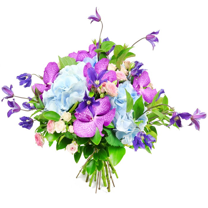 Set against a clean, white background, this opulent hand-tied bouquet seems to float, its colours and forms clearly defined as if illuminated by soft daylight filtering into a Golders Green townhouse. The eye is first drawn to the ample clusters of sky-blue hydrangea that dominate the centre, each rounded head made of countless delicate florets that create a plush, cushion-like texture, reminiscent of summer clouds drifting above nearby Hampstead Heath. Layered among these pastel blues are dramatic orchids in tones of vivid fuchsia and deep, velvety purple, likely Vanda or Phalaenopsis, their broad petals marked with intricate speckles and veining that add depth, pattern, and a slightly tropical flair. Rising and arching from the arrangement, slender stems of deep purple clematis provide vertical interest and gentle movement; their star-shaped or softly drooping bells give the bouquet a touch of relaxed wildness, as though snipped from a well-kept garden just off Golders Green Road. Nestled throughout are dainty sprays of miniature roses in blush pink and creamy white, each tiny bloom perfectly formed, introducing notes of tenderness, romance, and a suggestion of sweet fragrance. Around and beneath the blossoms, lush greenery spans from broad, glossy leaves to finer, more feathery foliage, framing the colours and giving the design a grounded, natural fullness. The stems are neatly gathered and bound at the base, revealing the practiced hand of a professional florist used to preparing fresh, same-day deliveries for celebrations, anniversaries, and thoughtful get-well wishes throughout Golders Green. Together, the cool blues, jewel-toned purples, gentle pinks, and vibrant greens create a bouquet that feels both modern and timeless, equally at home gracing a dining table, lifting the mood of a quiet flat near Brent Cross, or offering comfort in a hospital room.