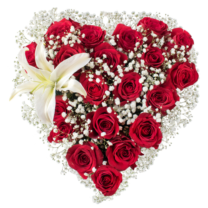 Against a stark white backdrop, this heart-shaped floral design presents itself with the quiet confidence of a classic romantic arrangement. The core of the heart is composed of numerous deep crimson roses - some still tightly furled, others fully unfurled to reveal velvety, layered petals that play with light and shadow - producing a sumptuous depth of colour. Interspersed throughout those roses and softening their intensity are airy clusters of tiny white baby's breath (Gypsophila), which diffuse the composition with a cloud-like texture and create a gentle halo around the silhouette. In the upper-left curve sits a single, graceful white lily whose broad petals are pristine, with a faint creamy wash near the centre; its yellow stamens provide a small, warm focal point that contrasts and complements the dominant reds. The piece reads as both meticulous and organic: the heart outline remains precise while the interior blooms lend movement and tactile variety - velvet, feather-light sprays, and smooth, waxy petals. Bathed in soft, neutral light, the colours become vivid and true against the white field, ideal for photographs, shop displays, or a polished presentation at a small Golders Green gathering near Golders Hill Park or along Golders Green Road. Designed with local sensibility by Flowers Golders Green, the bouquet suggests romance, remembrance, and attentive craftsmanship - a floral statement suited to anniversaries, Valentine's gestures, or elegant sympathy offerings where quiet beauty and expert arranging matter.