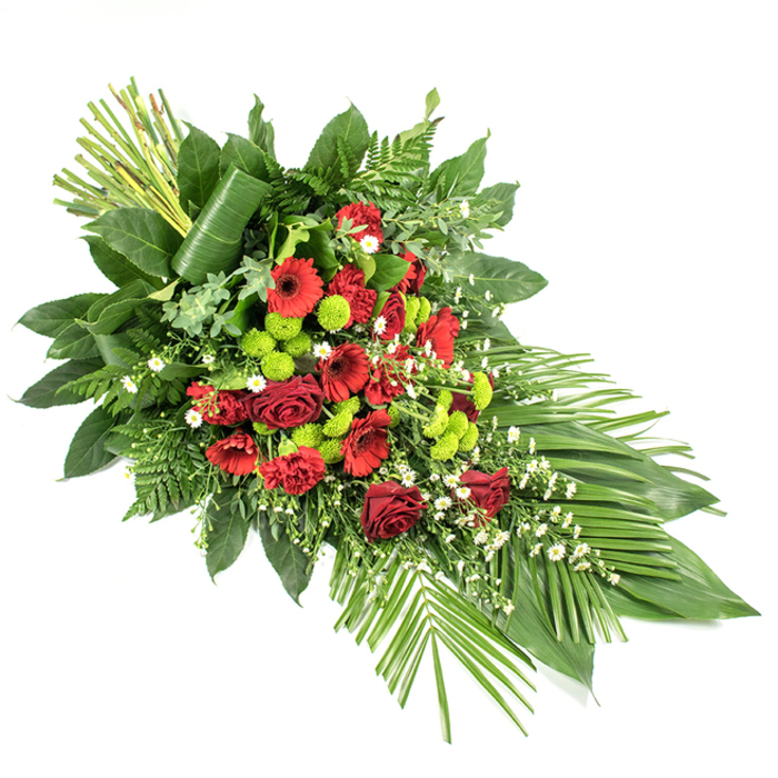A refined, teardrop-shaped funeral spray is photographed on a stark white background, allowing every petal, leaf, and stem to stand out clearly. The design flows diagonally from a higher point on the left to a gently tapering tip on the right, creating a sense of movement and direction, as though guiding the gaze in a quiet farewell. Deep red flowers dominate the central area: opulent, velvety roses, striking gerbera daisies with dark centres, and layered carnations, each bloom echoing themes of love, respect, and remembrance. Between these crimson notes, clusters of lime green button chrysanthemums glow with a luminous freshness, their rounded forms and crisp colour adding a modern, hopeful counterpoint to the richer reds. Tiny white filler blossoms-resembling dainty daisies or matricaria-are woven delicately through the arrangement, lightening the palette and bringing a gentle, cloud-like softness.
Framing the flowers is a rich foundation of greenery, reminiscent of the varied textures found in the gardens of Golders Green. Broad, glossy foliage, like salal, forms a strong base, while feathery fern fronds, slender palm-like leaves, and other textural greens extend and soften the outline. At the lower right, smooth, elongated leaves fan outwards to accentuate the spray's length and lend a contemporary flair. At the upper left, an architectural cluster of upright green stems rises confidently, anchored by a single broad leaf wrapped artfully around them for structure and style. The spray feels both traditional and subtly modern, making it a thoughtful choice for a casket spray or standing tribute at a local chapel or shiva house. With its thoughtful balance of colour, texture, and form, this arrangement conveys deep sympathy and a dignified farewell for families in and around Golders Green.