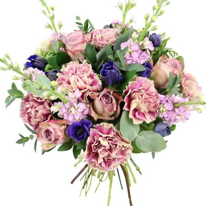 A sophisticated hand-tied bouquet appears against a bright white background, every petal, leaf, and stem sharply defined, as though just finished on the workbench of a Golders Green florist. The main blossoms are lush garden roses in blended tones of blush pink, dusty rose, and antique mauve, their spiralled centres opening into soft, velvety layers that form the romantic heart of the arrangement. Interspersed through the roses are plentiful ruffled carnations, each petal tipped in deeper pink and fuchsia while fading to creamy beige and blush nearer the centre, creating ripples of colour and a plush, textured surface. Threaded among these pink tones are deep indigo and royal blue flowers with sleek, tulip-like silhouettes, adding pockets of cool, saturated colour that gently echo the clear evening skies over nearby Hampstead Heath. A standout royal blue anemone, its petals silky and intense around a nearly black centre, sits low in the design, providing a dramatic focal point that grounds the composition. Tall, graceful stems of lilac and pale purple stock flowers rise through the bouquet, their clusters of tiny blooms giving airiness and a hint of soft fragrance, reminiscent of springtime in local North West London gardens. Encircling the flowers are layers of greenery: rich dark green leaves that shape and support the blooms, and rounded, silvery eucalyptus leaves that soften the edges and suggest a cool, refreshing scent. The exposed bound stems at the bottom confirm the bouquet as freshly hand-tied and ready for delivery around Golders Green, Brent Cross, and the surrounding neighbourhoods. With its balanced mix of romantic pinks, serene purples, and striking blues, this arrangement suits anniversaries, thoughtful birthday surprises, or a refined 'thinking of you' gesture.