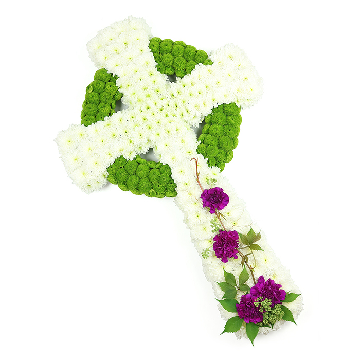 This image shows an elegant Celtic cross funeral arrangement, meticulously crafted from fresh flowers and set against a stark white studio backdrop so that every element appears crisp and defined. The cross runs on a gentle diagonal from top left to bottom right, its arms and upright densely carpeted with white chrysanthemums. Each tiny bloom is placed so close to its neighbour that no foliage or foam is visible, creating a smooth, slightly domed texture reminiscent of fresh snow or soft fabric. Encircling the centre and tracing the Celtic ring is a bold band of lime green button chrysanthemums, their rounded, textured heads forming the distinctive circular halo and intricate interlocking shapes of the Celtic design. This contrast of white and vivid green gives the cross a sculpted, architectural quality, as if it were a piece of living stone carved to honour a life. Along the lower vertical arm, three clusters of deep purple carnations are positioned with care, stepping gently down the cross. Their petals are full and ruffled, catching hints of shadow that deepen the tone from royal purple to almost wine-coloured in places. Around and between the carnation groups, slender trails of dark green foliage, perhaps ivy or a similar trailing leaf, curl and weave, softening the structure and adding a sense of gentle movement. The overall mood is reverent, calm, and quietly dignified, well suited to a funeral or memorial service in Golders Green, whether for a family with Celtic roots or simply for someone whose faith and character were steadfast. The cross feels like a thoughtful tribute that could be ordered for same-day delivery to local chapels, synagogues, or crematorium services in the area, expressing love, remembrance, and spiritual peace without the need for words.