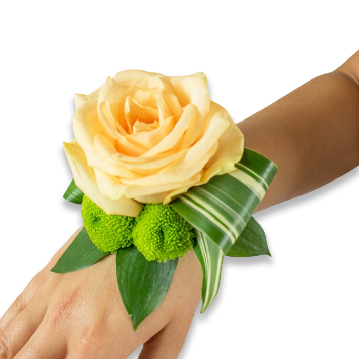 A refined floral wristlet is arranged along the inner forearm and hand, photographed against a stark white background so its colours and textures are crisp and immediate. The visible skin is a warm, light to medium brown that provides a soft, natural contrast to the blooms. Center stage is a large, fully opened rose in a delicate champagne-to-peach hue, its layered petals forming a sumptuous, tactile heart that feels both classic and intimate. Nestled beneath the rose, two vivid lime-green button chrysanthemums - round, cheerful pom-poms - supply a lively, sculptural counterpoint, their tightly packed florets creating playful texture beside the rose's smooth curves. Several broad, dark green leaves, plausibly salal or ruscus, cradle the flowers and extend outward, establishing a verdant base that anchors the design. A long, variegated leaf, striped with pale cream and green, is deliberately curled and folded, providing an architectural flourish that wraps subtly around the wrist and gives the piece a contemporary silhouette. The fastening is not visible, suggesting the flowers rest on a concealed band or ribbon. The whole presentation suggests freshness and quiet ceremony: a scent of soft rose and cut foliage, a composition balanced for photographs or close conversation. It's the kind of corsage I assemble for weddings, prom nights, and memorable family celebrations in and around Golders Green - a wearable keepsake that reads as thoughtfully crafted and locally made with attention to proportion and seasonality.