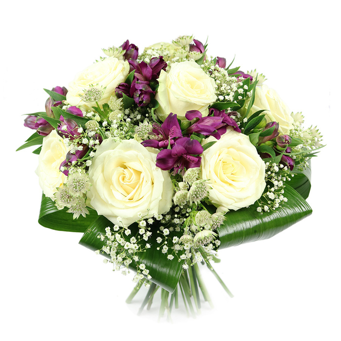In this studio-style image, a lush floral bouquet is presented against a spotless white backdrop, allowing every flower and leaf to stand out with clarity, as if just finished on the workbench of a Golders Green florist. The arrangement forms a compact, rounded dome, led by six or more fully opened creamy white roses in the centre. Their petals spiral outwards in smooth, layered whorls, catching the light to reveal gentle shadows and hints of cream and ivory within the blooms, creating a sense of timeless romance. Woven among these roses are clusters of deep purple and magenta alstroemeria, the Peruvian lilies adding a contemporary vibrancy that contrasts beautifully with the classic roses. The alstroemeria petals are slender and slightly recurved, with fine, darker streaks that give each floret a painterly quality. Scattered throughout the composition is abundant white gypsophila, its tiny, cloud-like flowers filling the gaps and giving the bouquet a soft, airy halo, like a gentle mist around the more solid forms. Light green-white astrantia add further detail, their delicate, star-shaped bracts and button centres drawing the eye and giving the arrangement an almost artisanal, garden-picked character reminiscent of walks near nearby Golders Hill Park. The bouquet is carefully collared with broad, glossy aspidistra leaves that wrap neatly around the base in smooth curves, providing a rich, dark green frame that anchors the design. Beneath, the stems are bound tightly and cleanly cut, hinting at a hand-tied construction ready for delivery across Golders Green. The overall mood is refined yet welcoming, suitable for anniversaries, heartfelt thank-you gifts, or gentle sympathy tributes sent to homes and businesses in NW11.