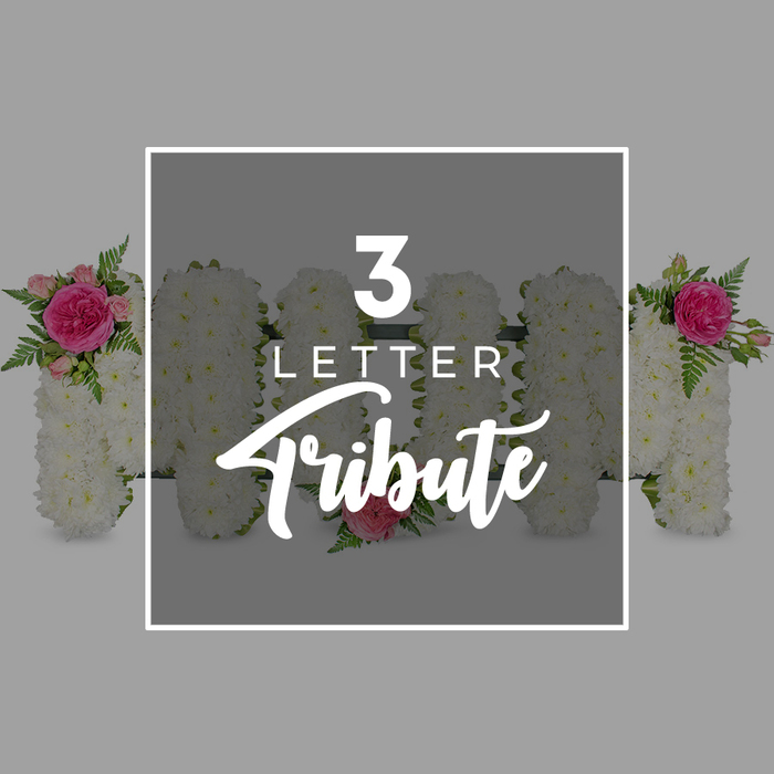 This studio-style photograph presents a serene, carefully lit view of a personalised funeral flower tribute, designed as floral letters and set against a smooth grey backdrop that keeps the focus firmly on the arrangement. In the centre of the composition, a white rectangular frame encloses three large letters spelling MOM, each letter meticulously formed from compact clusters of white chrysanthemums. The chrysanthemums are packed tightly together so that almost no stems are visible, just a continuous surface of soft, frilled petals that create an impression of purity and calm. The first M, on the left, is embellished at its upper left shoulder with a small, thoughtfully placed spray of flowers: a deep fuchsia pink rose open at its heart, surrounded by smaller, lighter pink rosebuds and arching sprigs of bright green fern, which add freshness and depth. The middle O maintains a simpler elegance, marked only by a single blush pink rose at its lower edge, drawing the eye to the circular form and suggesting a focused, intimate remembrance. The final M on the right mirrors the first, with an identical grouping of fuchsia rose, pale buds and fern positioned at the upper right, giving visual balance and reinforcing the sense of deliberate design. Overlaid text within the white frame reads 3 LETTER in a clear, modern sans-serif typeface, with Tribute below in a flowing, script style, describing the type of arrangement without overwhelming the flowers. At the outer edges of the image, just beyond the frame, the sides of additional chrysanthemum letters appear, also accented with pink roses and fern, hinting at other words a family in Golders Green might commission. The whole scene evokes a quiet, dignified farewell, like a tribute resting beside a coffin or display stand in a chapel near Golders Hill Park or in a family home off Hoop Lane.