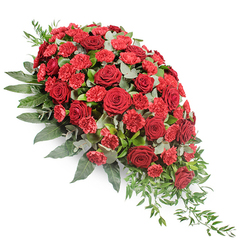 A substantial funeral spray in deep red tones appears against a clean white background, its form sweeping diagonally from a lush, rounded cluster of flowers at the upper left to a slender, tapered tip at the lower right, like a quiet, flowing tear. Dark red roses, their petals layered in velvety spirals, anchor the design with a sense of gravity and devotion, each bloom spaced just closely enough to feel abundant yet never crowded. Between them, smaller, brighter red carnations and spray carnations thread through the design, their finely frilled petals adding a softer, more textured note, as though the arrangement is gently breathing with memory. The flowers rest on a structured bed of foliage: broad, dark green leaves provide weight and depth, forming a rich, emerald backdrop that cradles every red bloom. Interlaced among these are stems of silvery-green eucalyptus, their round leaves diffusing the intensity of the reds with a cool, calming tone, while slender trails of lighter green foliage arc out and downwards, echoing the natural fall of leaves along a quiet path in Golders Green Crematorium or by the lawns of nearby Hampstead Garden Suburb. The overall impression is one of quiet strength and tenderness, a design you could imagine placed lovingly on a casket or at the front of a small chapel service. Though you cannot see fragrance, you might picture a subtle mix of fresh greenery and rose, carefully arranged by a skilled florist in Golders Green to convey compassion, honour, and heartfelt remembrance for a life being gently laid to rest.