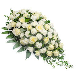 Set against a seamless white backdrop, this dignified funeral floral spray sweeps diagonally across the frame in a graceful teardrop curve, full and rounded at the upper left before narrowing to a refined tip at the lower right. The composition is dominated by white and soft ivory roses, each bloom at a different stage of opening, from shy buds just beginning to unfurl to fully open flowers with intricate, spiralled centres that appear almost sculpted. Interlaced with the roses are delicate white carnations, their softly frilled petals adding a gentle, cloud-like texture that softens the entire design. The flowers are nestled into a lush foundation of greenery: cool, silvery eucalyptus leaves thread through the centre, while darker green foliage provides structure, depth, and a subtle frame. Long, trailing strands of ruscus and similar fine greenery cascade from the tapered end, suggesting quiet movement, like leaves caught in a light breeze along the streets leading to Golders Green station. The spray's white and green colour palette conveys a profound sense of peace, purity, and reverence, capturing the feeling of a respectful farewell. The arrangement appears thoughtfully crafted by skilled florists familiar with the needs of bereaved families in Golders Green, where such tributes are often placed beside the coffin or displayed near the front of a synagogue, chapel, or crematorium. The lighting is soft and even, allowing each petal, leaf, and curve of the spray to be clearly visible, and creating an overall impression of calm consolation and honouring a life with quiet grace.