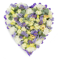 Viewed in a neutral studio setting, this densely packed heart-shaped floral tribute reads as a gentle, crafted pause: soft creams, pale yellows and subtle lavenders woven into a single, solemn form. At the centre, tightly furled cream and pale yellow roses create a sumptuous, velvety surface-buds and just-opening blooms together suggest a quiet, unfolding tenderness. Surrounding and filling the heart, layers of white carnations add a cloud-like volume, their ruffled petals catching a diffused light that emphasizes texture and depth. Sprigs of lavender statice scatter like memory-laced confetti, their tiny, papery blooms lending an airy, nostalgic haze, while small, vivid purple aster-like flowers with bright yellow centres provide hopeful pinpricks of colour that animate the composition. Interspersed among the flowers are broad, rounded eucalyptus leaves in a cool blue-green that relieve the density with elegant negative space and a visual suggestion of a fresh, soft scent. The whole heart is neatly edged with a looped purple satin ribbon, its sheen and structured folds giving the tribute a finished, ceremonial border against the pristine white background. This arrangement was conceived for sympathy and memorial services-appropriate for a service at Golders Green Crematorium or a family wake in nearby streets off Golders Green Road-and reflects a florist's attention to proportion, tactile contrast, and quiet emotion. Prepared with care by local hands, it offers a dignified, comforting presence to honour a loved one and to express condolence to those who gather.