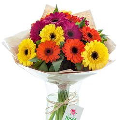 A sumptuous gathering of Gerbera daisies takes centre stage in this Golders Green-inspired arrangement, artistically presented in a sleek, clear glass vase against a pristine white backdrop. The bouquet features a harmonious blend of exuberant yellow, glowing orange, and rich magenta blooms, each flower's velvety petals radiating from a dramatically dark centre. Nestled between the jubilant blossoms, a scattering of glossy green foliage introduces texture and dimension, evoking the leafy avenues that wind through Golders Green. The bouquet is elegantly encased in a double layer: the first, subtly crinkled cellophane that catches the light, and the second, soft kraft paper that offers an earthy counterpoint to the brilliant flowers. The natural twine that binds the stems adds a rustic touch reminiscent of the traditional florist shops along Golders Green Road. Suspended from the tied bow hangs a crisp white tag decorated with a red rose emblem, suggesting the thought and care infused into every floral gift. Water within the vase glistens, nourishing the exposed stems, while the bouquet's passionate hues and careful construction embody the warmth and energy of a festive gathering. Imbued with local character, this bouquet would lift spirits in a nearby home or serve as a radiant centrepiece for a West London celebration. Each detail, from the radiant colours to the artisanal presentation, speaks of the artistry found at Flowers Golders Green, making it an ideal choice for commemorating special occasions or brightening daily life in NW11.