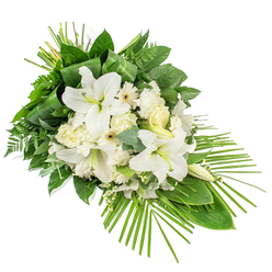 A graceful condolence spray in classic white and green stretches diagonally across a clear white background, designed as a one-sided display to be viewed from the front, much as it would appear atop a coffin or beside the lectern at a Golders Green memorial service. Large white Oriental lilies command the eye, some fully open with wide trumpet-shaped petals and greenish stamens, others still enclosed in long, pale buds that hint at unfolding beauty. Nestled among them are clusters of creamy white roses and ruffled carnations, their petals soft and layered like folded fabric, joined by white gerbera-style daisies whose clean petals encircle subtle cream or yellow centres. Delicate filler blossoms in tiny white sprays weave between the main flowers, adding a misty lightness that softens the structured design. A lush foundation of foliage supports the blooms: dark glossy leaves form a solid, verdant base; feathery ferns introduce gentle movement; and rounded, dusty eucalyptus leaves lend a cool, bluish tone. At the top, slim green leaves are artfully looped and wrapped, creating a neat architectural touch that draws the gaze upward. From the lower right, numerous slender palm fronds fan outward in a sweeping arc, giving the arrangement an elongated, asymmetric profile that feels both modern and timeless. The palette of whites and greens evokes purity, calm, and remembrance, making this piece an appropriate funeral arrangement or sympathy tribute for services across Golders Green, from quiet family gatherings near Golders Green Road to more formal ceremonies held close to the crematorium.