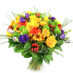 A vibrant, joyfully composed bouquet set against a clean white backdrop, arranged to celebrate colour, texture and fresh craftsmanship. Dominant sunny yellows-classic roses with tightly furled spirals and plush chrysanthemums-form the heart of the design, their warmth balanced by vivid orange gerberas with dark centres and smaller orange daisy accents that scatter the composition with energetic sparks. Rich, velvety purple lisianthus provide elegant depth, their layered petals curling inward like tiny roses, and a few pale lavender and white lisianthus buds suggest delicate movement and forthcoming bloom. Lime-green Santini pom-pom chrysanthemums add a playful spherical rhythm, while clusters of shiny red Hypericum berries lend a festive, tactile gloss between petals. Upright blades of ornamental grass thrust skyward for height and a light, architectural feel, and a generous base of glossy dark green foliage-possibly Ruscus-grounds the bouquet and accentuates the brighter tones. The stems are tied together neatly at the base, indicating a hand-tied finish and fresh delivery readiness. In soft, directional light the petals' textures-from velvety rose cups to papery gerbera rays-are clearly visible, and you can almost sense the faint perfume of summer roses mingling with green leaves. Prepared with local care by Flowers Golders Green for delivery across Golders Green and nearby Hampstead, this bouquet radiates celebration and would be a lively, thoughtful gift for birthdays, anniversaries or cheerful home décor.