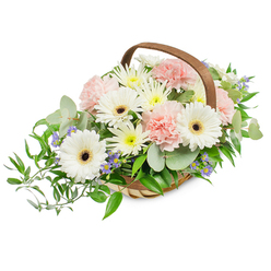 A carefully crafted floral basket that reads as both fresh and refined: crisp white Gerbera daisies with their striking dark centres command attention at the heart of the arrangement, surrounded by soft clusters of pale pink carnations whose ruffled layers add romantic volume and tenderness. Throughout the composition, small white and pale yellow chrysanthemum-like blooms fill the spaces, creating density and spring-like cheer, while fine sprigs of tiny blue-lavender star-shaped flowers provide gentle contrast and a whisper of cool colour. The greenery is a studied mix - rounded, silver-toned eucalyptus leaves give a modern, scented underpinning, and deep glossy ruscus branches trail gracefully from the left-hand side to form a flowing silhouette. All of this is nestled in a handwoven light-wood basket with a curved brown handle, lending a rustic, homey feeling under bright, even studio light that highlights each petal's texture. This arrangement is as suitable for a sympathy tribute as it is a bedside cheer-up or a Mother's Day surprise; the soft palette communicates purity, calm and affection. As a florist serving Golders Green and nearby streets from Golders Green Road to Finchley Road, Flowers Golders Green would choose this composition for clients seeking an elegant, versatile gift - it photographs beautifully for online orders and travels well for local delivery, offering a comforting presence in homes, small gatherings or quiet remembrance settings.