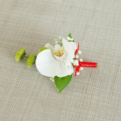 Set against a pale beige, linen-like fabric with a visible, natural weave, this elegant boutonniere has the quiet poise of a Golders Green wedding captured in a still moment. The focal point is a single white phalaenopsis orchid, its large, satin-smooth petals unfolding with gentle curves that suggest both strength and fragility. At its centre, soft yellow tones deepen into fine reddish-orange markings, drawing the eye inward to the intricate, sculpted throat of the flower. Surrounding the orchid is a halo of airy white baby's breath, each tiny bloom like a grain of soft snowfall, cushioning the central blossom with romantic lightness. On the left side sit two rounded lime-green chrysanthemum buds, their densely packed, slightly spiky petals offering a vivid pop of colour and a modern, textural counterpoint to the orchid's calm simplicity. A broad, rich green leaf fans out from beneath the blooms, while a smaller, darker leaf adds a discreet accent near the stem, echoing the greenery you might see along nearby Golders Hill Park. The stems are expertly bound with a bold crimson red ribbon, wrapped smooth and tight to form a tidy base, ending in a subtle knot that feels both festive and refined. The neutral fabric background softens the scene, ensuring that every nuance of white, green, and red is clearly defined. Crafted with the care of an experienced North London florist, this boutonniere seems ready to be pinned to a lapel for vows spoken in a local synagogue or registry office, carrying a sense of occasion without ever feeling showy.