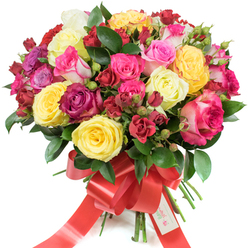 This opulent, tightly gathered rose bouquet is a study in colour and craftsmanship, photographed on a clean white field so every hue and texture is perfectly legible. Large hybrid tea roses unfold alongside smaller clustered spray roses: cheerful yellow blossoms sit beside creamy ivory roses, pale blush and salmon pinks graduate into deeper magenta and fuchsia tones, and bicoloured pink-and-white edges add a playful highlight. Clusters of deep burgundy and crimson provide weight and drama, while unopened buds promise longevity and a layered sense of bloom. Glossy dark-green foliage-the plausible ruscus or salal used by florists-threads through the flowers, adding contrast and a natural frame that makes each rose pop. The stems are gathered with precision and finished with a wide, festive red satin ribbon tied into an elegant, sweeping bow whose long tails trail below; a small white tag marked Happy Holidays is secured to the ribbon, giving the arrangement a seasonal greeting. The lighting suggests soft morning studio illumination, bringing out the velvet of red petals and the satiny sheen of greener leaves; the scent would be clean, slightly citrus-tinged, and quietly uplifting. As a Golders Green local florist, Flowers Golders Green would present this bouquet as an ideal gift for anniversaries, Valentine's gestures, or a seasonal celebration delivered across Golders Green and neighbouring Hampstead Garden Suburb.