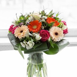 Capturing the essence of Golders Green's vibrant community, this dazzling bouquet marries the lively spirit of orange and peach gerberas with the plush sophistication of magenta roses. Arranged with care in a clear glass vase, the gathering of lush blooms rests on a foundation of broad, deeply glossy green foliage - reminiscent of the stately chestnut trees near Hampstead Heath Extension. The bouquet's energy radiates outward, with each fiery orange gerbera echoing the cheer of a local spring market and every creamy-peach bloom exuding gentle grace. Among them, velvety fuchsia roses offer romance and depth, while snowy white alstroemeria and delicate filler add a frothy softness and hints of creamy fragrance. Sprigs of lighter pink blooms peek through, infusing the bouquet with hope and subtle sweetness. Thick, paddle-shaped aspidistra leaves arc protectively, their waxy sheen providing structure and volume. The entire composition glows beneath soft daylight, as if positioned by a sunlit window on Hoop Lane, celebrating nature's hues. Perfect for uplifting a home in Temple Fortune or sending a message of gratitude, this display is as refreshing and refined as an early stroll through Golders Green's leafy avenues. Every petal and leaf showcases the mastery of local floristry, making it a memorable and meaningful gift.