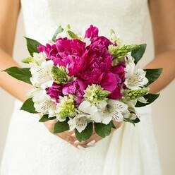 A close, intimate photograph focuses on a bride's midsection, where she holds a perfectly round bridal bouquet that glows against the clean white of her gown, much like a jewel against silk. The arrangement is dominated by large, deeply ruffled peonies in intense fuchsia and magenta tones, each bloom densely packed with petals that fold and curl like soft fabric, creating a rich, almost opulent focal point. Nestled among them are crisp white alstroemeria, or Peruvian lilies, their narrow petals adorned with fine maroon streaks and speckles that lend an exotic, hand-painted quality. Here and there, bright green, pointed buds and starry, emerging florets add a lively, textural contrast, evoking the feel of fresh garden growth after rain on Hampstead Garden Suburb's leafy streets. The entire bouquet is encircled and supported by glossy, deep green leaves, which form a natural collar, gently rounding the shape and giving the design structure and balance. The bride's hands, neatly manicured with soft pink polish, rest just below the blooms, fingers lightly curved around the stems in a relaxed yet purposeful grip. The background remains softly blurred, keeping all attention on the interplay of vivid colour and refined detail at the centre of the frame. This bouquet, the kind often requested from local Golders Green florists for elegant synagogue or registry-office ceremonies, conveys a sense of joy, confidence, and romantic intensity, perfect for a bride who wants her flowers to make a statement without losing that classic, timeless wedding feel.