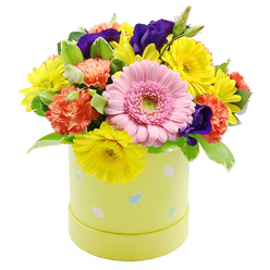 This Easter floral hatbox arrangement feels like a pocket of springtime joy carefully composed for a windowsill or coffee table in Golders Green. At its heart is a large, light pink gerbera daisy, its rounded face turned outward as if greeting you at the door, each petal delicately layered around a light green centre that hints at new growth and fresh beginnings. Surrounding this focal bloom are clusters of lively yellow chrysanthemums, their narrow petals forming bright, sunny discs that echo the cheerful energy of local markets and cafés near Golders Green station. Interlaced between them, coral-orange carnations introduce soft ruffles and a plush, tactile richness, giving the bouquet a comforting, almost nostalgic presence. Deeper violet-purple lisianthus blooms emerge thoughtfully among the lighter tones, adding a sense of depth and a refined contrast, like the shifting colours of the sky over Hampstead Heath as the day draws to a close. Lush green foliage, some leaves lightly edged in cream, fills the gaps and adds movement, creating an impression of abundance without crowding the composition. The flowers are arranged in a pastel yellow-green cylindrical hatbox, smooth and modern, adorned with scattered, miniature Easter eggs in pastel pink, blue, and white, some decorated with tiny dots and stripes that bring to mind children's Easter trails in nearby parks. Set against a crisp white backdrop, every tone and texture stands out clearly, making this arrangement an inviting choice for Easter celebrations, get-well wishes, or simple springtime pick-me-ups delivered around Golders Green.