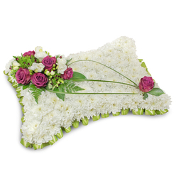 This rectangular sympathy pillow sits against a pure white backdrop, its surface wholly covered with hundreds of small white chrysanthemum florets that form a cushiony, cloud-like texture suggesting rest and repose. Nestled in the upper-left corner is a carefully built cluster of rich fuchsia roses, their velvety faces contrasted by interspersed white freesia and touches of creamy lisianthus, which together add softness and a faint floral scent that feels both restrained and comforting. Verdant, emerald-green foliage-soft fern fronds and glossy leaves-wraps and supports the accent cluster, while two long, graceful blades of bright green bear grass arc from that corner, sweeping across the pillow to introduce a calm, directional rhythm. Near the lower-right edge a solitary magenta rose mirrors the main cluster, creating a visual conversation across the white field. The cushion's edges are neatly finished with a pleated lime-green satin ribbon that provides a subtle frame and a fresh hint of colour without distracting from the arrangement's serenity. The lighting is soft and even, emphasizing texture and depth rather than drama, and the overall effect is one of composed sympathy: a floral pillow designed to offer comfort and dignity at a memorial service, a chapel on Golders Green Road, or a quiet family farewell in the neighbourhood.