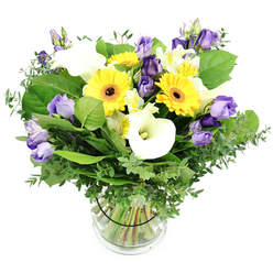Designed by a seasoned Golders Green florist, this striking bouquet blends sunshine and elegance in a single breath. The arrangement pairs bright yellow Gerbera daisies with crisp white Calla lilies and lavender Lisianthus, creating a universal choice for many occasions. Interwoven among them are clusters of white Alstroemeria with subtle yellow streaks, adding delicate texture and lift. A lush backbone of greenery-silvery eucalyptus, slender branches and broad green leaves-gives the bouquet presence and a natural, garden-fresh feel. The stems sit neatly in a clear glass cylinder, water visible through the glass, and a dark ribbon around the stem line keeps the bouquet tidy and strong. This design is versatile, equally suited for birthdays, congratulations, a housewarming, or simply brightening someone's day. We deliver across Golders Green and nearby communities such as Hampstead Garden Suburb, Cricklewood, and Finchley Road, with same-day service available in many cases. The bouquet exudes warmth without being overpowering, a modern classic that feels polished yet approachable. The gentle fragrance of eucalyptus mingles with the floral notes, creating a fresh, inviting mood that suits both personal celebrations and professional settings.