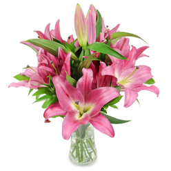 This photograph captures a lush bunch of pink oriental lilies arranged with confident simplicity in a clear glass vase and photographed on a clean white surface to focus attention on colour and form. Multiple lilies are in full bloom, their large six-petaled faces opening wide in shades of magenta and rosy pink that deepen at the petal edges and soften to a pale cream and yellow-green at each throat. The throats' chartreuse tones transition into creamy centres while the dark burgundy anthers carry visible pollen, offering a lively, tactile detail against the smooth, satiny petals. Interspersed among the open flowers are several pointed buds in varying stages - from tight, pale-pink ovals with green tips to fuller buds edged in fuchsia - which signal the bouquet's longevity and gentle unfolding. Lush, lance-like green foliage fills and supports the arrangement, their glossy leaves and firm stems visible through the transparent vase and clear water below. The lighting is bright but soft, revealing fine petal veins and the dewy sheen of freshly cut stems, while the imagined scent is heady and floral, lending the image a sensory warmth. As a local florist might say when describing work for a customer in Golders Green or a delivery to nearby Finchley Road or Hampstead Garden Suburb, this bouquet balances striking colour with refined structure - ideal for marking a new home, offering thanks, celebrating a birthday, or simply bringing serene beauty into an interior.