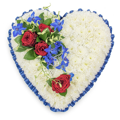 This heart-shaped floral tribute is captured in a clear, top-down view, making every detail of the design easy to visualise. The entire heart is densely paved with pristine white chrysanthemums, each small bloom pressed closely to the next so that the surface appears soft, almost cushion-like, yet impeccably neat. The white petals form a serene backdrop, suggesting peace and quiet reflection, much like a still morning walk through Golders Hill Park nearby. Encircling the outline, a royal blue satin ribbon has been pleated into gentle ruffles, the folds rising and falling around the perimeter. Its rich, jewel-toned blue adds depth and a ceremonial touch, framing the heart and drawing the eye inward. On the upper left, a striking cluster of flowers forms the main focal point: three deep red roses, fully open, reveal spirals of velvety petals set against glossy dark green leaves. They are interwoven with electric blue dendrobium orchids whose slender stems and star-shaped blooms trail lightly across the white chrysanthemum base. Subtle, curling tendrils of pale green foliage soften the edges of this spray, giving it a natural, flowing movement. On the lower right curve, a single red rose, accompanied by hints of green, is placed slightly apart, as if a final, personal gesture of farewell. The careful balance of white, red, and blue creates a powerful visual message of purity, love, and calm. Ideal for a funeral or memorial service in Golders Green, this tribute feels both dignified and deeply personal, as though created to honour one cherished life with quiet grace.