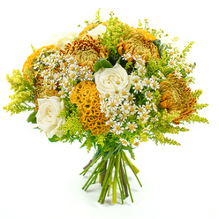 A generous autumn-inspired bouquet stands upright against a smooth white backdrop, its hand-tied stems neatly gathered and secured, the cut ends visible and fresh. The composition forms a rounded dome of colour and texture, evoking a walk through the tree-lined streets of Golders Green as the leaves begin to turn. Dominating the arrangement are large chrysanthemums in shades of deep amber, glowing gold, and soft pumpkin orange, their many slender petals radiating from the centre in dense, spiky layers that create a sense of movement and depth. Between these bold blooms, creamy white roses open in elegant spirals, the outer petals gently cupping the heart of the flower, lending a refined softness amid the richer tones. Several striking celosia flowers in warm yellow-orange add a sculptural touch; their velvety, brain-like folds and ridges resemble miniature coral formations, inviting you to imagine their plush surface under your fingertips. Delicate clusters of white matricaria, each with a sunny yellow eye, are interwoven throughout the bouquet, brightening the design much like patches of wild daisies glimpsed near Golders Green's quieter residential gardens. Surrounding all the blooms is an airy collar of greenery and lime-green solidago, its fine, feathery stems arching gracefully and filling out the silhouette. The foliage ranges from deeper, glossy greens to lighter, citrusy tones, heightening the bouquet's sense of freshness. Even, neutral lighting allows each blossom and leaf to stand out clearly, with no distractions from the simple background. This arrangement feels both polished and natural, suitable for sending encouragement, marking a seasonal celebration, or welcoming guests to a Golders Green gathering with a warm, golden glow.
