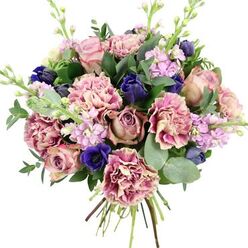 A richly detailed hand-tied bouquet is shown isolated against a pure white background, the clean setting making the colours and textures feel almost painterly, as though arranged in a quiet shop just off Golders Green Road. At the centre, generous garden roses in soft blush, muted dusty mauve, and antique rose tones open in layered spirals, expressing a timeless, romantic style. Threaded between them are abundant, frilly carnations whose petals shift from creamy beige and pale blush at the base to deeper pink and fuchsia at the edges, creating a soft ombré effect that adds volume and movement. Pockets of deep indigo and royal blue flowers, some in tight, tulip-like buds and others more open, punctuate the warmth of the pinks with a cool, jewel-like contrast. One particularly vivid royal blue anemone with a dark, inky centre sits near the front, acting like a focal jewel in the arrangement. Slender spikes of lilac and pale lavender stock weave upward, their many small blossoms providing airy structure and recalling the gentle fragrance that might greet you walking past local gardens near Hampstead Garden Suburb. Surrounding everything is a halo of fresh foliage: dark glossy leaves frame the blooms, while round, silvery-green eucalyptus leaves soften the outline and hint at a soothing, aromatic freshness. The natural stems, neatly gathered and visible at the base, speak to expert hand-tying and the immediacy of a freshly made bouquet, ready for same-day delivery across Golders Green and nearby Finchley Road. The finished design feels both calming and uplifting, perfect for birthdays, anniversaries, or sending quiet support during challenging times.