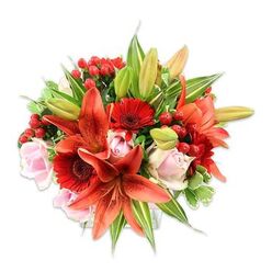 Against a clean white backdrop this generously packed bouquet presents a confident, warm composition of orange-red Asiatic lilies, deep crimson Gerbera daisies, blush-pink roses, glossy red hypericum berries and abundant green foliage - an arrangement a local florist might bring by for a celebratory occasion. The lilies dominate with broad, intense petals, some showing subtle speckles and prominent dark stamens that add fine detail and depth; a few unopened buds promise a second wave of bloom. Interspersed are the Gerberas' vivid circular heads, their dark centers offering a dramatic counterbalance to the lilies' elongated forms. Pale pink roses, rendered in varying stages from tight buds to open cups, introduce a soft, romantic texture that tempers the bouquet's fiery tones. Scattered throughout, the small red berries glint like tiny beads, lending a festive, tactile contrast to the smooth petals and the lilies' papery surfaces. Greens range from large, smooth leaves that anchor the bouquet to slimmer pointed lily foliage and a few variegated pieces that brighten the composition with cream-and-green streaks. The full, rounded silhouette reflects deliberate florist craftsmanship, with layered heights and pockets of air that let scent and colour circulate. As a florist serving Golders Green and nearby Finchley Road, we'd recommend this arrangement for anniversaries, congratulations, or to uplift a home after a walk from the tube - a bouquet smelling faintly sweet with a trace of spice and promising both immediate impact and lingering charm. Arranged with care by Flowers Golders Green, it's equally suited to a centrepiece or a special delivery.