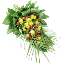 A graceful funeral spray of yellow roses and red berries is shown laid out on a pure white background, its teardrop shape flowing from the upper left to the lower right. The composition begins where the stems are tightly bound at the top left, forming a secure point from which the flowers and foliage fan out. Around a dozen to twenty yellow roses, some still cupped and others fully open, are carefully spaced along the length of the spray. Their petals are soft and layered, with a glowing, golden-yellow hue that suggests gentle optimism and loyal affection. Nestled among these roses are clusters of small, round, deep red berries, reminiscent of Hypericum, polished and almost bead-like, offering a rich colour contrast and subtle texture. The roses and berries rest in a bed of abundant green leaves: broad, dark foliage that has been folded and shaped to create depth and structure at the centre, and lighter greens that soften the edges. From the lower right edge, long, palm-like fronds extend in a sweeping arc, their slender, pointed tips giving the arrangement an elegant, flowing movement, as if echoing the quiet paths leading through Golders Green and Hampstead Garden Suburb. The lighting is clean and even, highlighting the satin sheen of each leaf and the velvety surface of the blooms. This design feels composed with care by an experienced florist near Golders Green station, intended as a dignified sympathy tribute for services at local chapels or cemeteries, offering a message of remembrance that is both respectful and calmly uplifting.