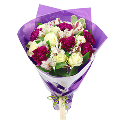 Against a bright white backdrop, a luxurious bouquet is captured in full bloom, its colours rich and its structure carefully composed, as if just finished on the workbench of a Golders Green florist. At the centre, cream-white roses rise gracefully, their petals tightly layered yet soft at the edges, suggesting that velvety, classic rose fragrance you might notice on a quiet evening stroll along Finchley Road. Nestled closely beside them are deep magenta and fuchsia carnations, their densely frilled petals creating a sense of texture and rhythm, like ripples of colour that pull the eye inward. Threaded among these are white alstroemeria, each flower opening into slender, slightly curled petals speckled with fine pinkish-red streaks and anchored by dark stamens, giving the arrangement a touch of intricate, almost painterly detail. The florist has slipped in fresh green leaves throughout, some a solid, glossy green, others tipped with pale variegation, so the bouquet feels full, balanced, and alive. The stems are gathered tightly to form a rounded, domed top that gradually narrows towards the base, suggesting a bouquet that sits comfortably in the hand, ready for same-day delivery to homes near Golders Green station or the leafy streets around Temple Fortune. An inner ring of crisp white wrapping paper forms a neat collar, framing the blooms, while an outer layer of translucent, crinkled purple cellophane or tissue wraps around them like a shimmering cloak. This purple layer catches the light and deepens the tones of the flowers within, giving the whole piece a celebratory, modern edge. At the base, an iridescent green satin ribbon is tied into a neat bow, a small light brown gift tag dangling from its knot, perfectly placed for a short, heartfelt note - perhaps a birthday wish, an anniversary message, or a simple 'thinking of you' sent across Golders Green.