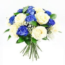 A thoughtfully crafted round bouquet of roses takes centre stage against a pure white backdrop, its calm palette of royal blue and creamy ivory echoing the quiet side streets of Golders Green on an early morning. The florist has arranged the flowers into a low, almost sphere-like shape, alternating deep blue roses with soft cream ones so that no single colour dominates. Each rose head shows off layers of velvety petals, some blooms wide open with textured, rippling edges, others still gently unfurling. Threaded throughout, you can see delicate sprays of pure white baby's breath, the tiny blossoms creating a cloud-like veil between the larger flowers and lending an almost weightless feel. Around the outer edge and tucked among the roses, dark green leaves with a smooth, slightly glossy surface add structure and a sense of natural freshness, reminiscent of the greenery bordering the paths in nearby Golders Hill Park and along Finchley Road. The stems are visible below, aligned and bound in a neat, hand-tied finish that speaks of careful, practiced hands. Soft, even lighting picks up the contrast between the cool blue tones and the warm cream, casting subtle shadows that give the bouquet a gentle depth. This arrangement is clearly meant for moments of sympathy or remembrance, a dignified floral gesture appropriate for sending to local homes, chapels, or funeral services around Golders Green, offering a quiet message of comfort, loyalty, and enduring care.