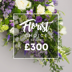 As a local florist serving Golders Green and the winding lanes around Hoop Lane, this spray is more than a floral arrangement; it's a quiet, consoling gesture. At its heart, ivory white roses stand pristine, velvety, and timeless, surrounded by white lisianthus with their delicate, ruffled petals and slender freesia. The purples speak softly: deep purple lisianthus, lavender-hued eustoma and freesia, and slender spires of blue-violet veronica rising like a respectful chorus. Lush green foliage-fern fronds, eucalyptus-like leaves, and viburnum clusters in pale green-frames the arrangement with a verdant calm. The design rests in a soft, daylight glow against a neutral grey backdrop, as if captured at dawn. A crisp white overlay dominates the center, with Florist Choice Spray shown in elegant script and a bold price '?300' beneath, signaling a premium option for funeral or memorial tributes. The bouquet feels both grounded and uplifting, offering a moment of solace to those who gather in Golders Green, Cricklewood, or near Golders Hill Park. Its careful balance of open blooms and airy sprigs speaks of respectful ceremony, lasting presence, and the skill of a local florist who understands the community's needs. Available for same-day delivery to homes and chapels across the district, this piece embodies care, reverence, and enduring grace from Flowers Golders Green.