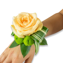 The quiet sophistication of this wrist corsage begins with a creamy apricot rose that anchors the design, each petal folded inward like a small, tender memory. Two bright lime-green button chrysanthemums sit tucked beside the bloom, their clustered textures popping with playful energy against the rose's gentle warmth. Beneath, broad, dark green leaves - likely ruscus or salal - form a lush platform, their sheen giving the piece weight and freshness. A variegated, striped leaf is expertly folded into a sweeping, graphic curve that runs along the wrist, its pale horizontal markings lending a refined, contemporary edge to the composition. The corsage rests on living skin, photographed on a clean white field so every colour and contour reads clearly; the fastening is concealed, implied by the seamless way the foliage wraps the wrist. The arrangement smells faintly of rose and cut greenery, and its tactile contrasts - silky petals against the slightly bristled mums and crisp variegation - invite a gentle touch. I often create versions of this style for celebrations around Hoop Lane and Finchley Road, and it's the kind of piece people choose when they want a look that's both timeless and modern. Handcrafted with attention to balance and proportion, it carries the quiet poetry of in-person greetings, suitable for prom, wedding, or any formal evening where floral finesse matters. For neighbours in Golders Green it reads as a small, wearable moment of beauty, made fresh and with care.