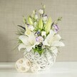 A tall, graceful floral arrangement is styled on a clean white surface, creating a sense of calm that feels very much in tune with a quiet celebration in Golders Green. The flowers are gathered into a rounded white vase with an intricate open-weave pattern, the criss-cross design recalling finely woven rattan while remaining distinctly contemporary. From this airy base, statuesque white lilies rise, some blooms fully unfurled to reveal wide, star-shaped petals and delicate stamens, others still encased in pale green buds that introduce a fresh, hopeful note. Weaving through the lilies are stems of lisianthus in shades of white and cream, with many petals edged or flushed with soft lavender-purple, giving the whole bouquet a gentle, romantic blush. Among these primary flowers, hints of tiny white blossoms and occasional deeper purple accents are scattered, like quiet exclamation points that add interest without overpowering the soft palette. A mix of textured green foliage - slender, spiky leaves, trailing fronds, and more rounded greenery - fills out the shape, cascading lightly over the rim of the vase in a way that recalls the relaxed greenery of nearby Hampstead Garden Suburb. Beside the vase sit two decorative orbs in a natural beige tone, their woven structure mirroring the vase and adding a tactile note that suggests warmth and craftsmanship. The background is a subtly textured light beige wall with horizontal lines, bathing in gentle, diffused light that makes the whites glow softly and the lilacs appear almost misty. Altogether, it feels like a centrepiece chosen for a wedding table, a baby naming, or an anniversary dinner in NW11, a design that brings both serenity and understated celebration to the room.