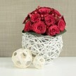 In the centre of the scene, a sculpted dome of deep red roses rises elegantly, each bloom chosen for its velvety texture and rich, saturated tone. The petals curl and spiral outwards, from tight buds to fully opened rosettes, forming a dense, luxurious cushion of crimson. Threaded between the roses are clusters of small red hypericum berries, their smooth surfaces glinting subtly in the light and adding tiny sparks of brightness and a different dimension of red. A discreet ring of dark green leaves forms a low collar at the base, grounding the intense colour and suggesting the freshness of a bouquet just arranged by an experienced Golders Green florist. The flowers are set into a distinctive spherical vase made from white-painted wicker or twigs, woven in an open, criss-cross pattern that lets light filter through and creates delicate shadows on the table beneath. This airy, modern container rests on a flawless white tabletop, echoing the clean lines and minimalist interiors often found in homes around Golders Green and nearby Hampstead Garden Suburb. To the left of the centerpiece, two decorative balls made from pale natural wicker sit casually on the same surface, their loosely tangled strips mirroring the vase's texture while introducing a warm, organic note. The background is a soft blur of neutral beige, reminiscent of a calm, textured wall, ensuring that nothing competes with the bold beauty of the arrangement. The overall mood is romantic and intimate, ideal for a wedding reception table, an anniversary dinner at home after a stroll through Golders Hill Park, or a thoughtfully styled celebration where flowers take centre stage.