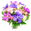 This hand-tied bouquet, photographed in bright, even light against a brilliant white background, exudes the feeling of a joyful celebration captured in flowers. At its centre, lush pink peonies spill open in soft, voluminous layers, their petals overlapping like fine silk and creating a sense of gentle romance. Woven among them, dramatic Vanda orchids in shades of velvety purple and electric fuchsia stretch their wide petals, each one traced with intricate veins that resemble delicate lace or stained glass. Around these focal blooms, smaller roses appear in tender pastel tones-blush pink, peach, and buttery cream-some no more than tight buds, others partially open to reveal their spiralled hearts, adding nuance and texture. Tiny, spiky white blossoms, likely spray chrysanthemums, peek out like little bursts of starlight, breaking up the larger masses of colour and bringing a playful brightness. The bouquet is wrapped in a generous layer of deep green foliage, with glossy leaves and finer, patterned greenery creating a full, rounded silhouette and a sense of freshness, like the greenery you might admire on a stroll toward Golders Hill Park or Hampstead Heath from Golders Green. Neatly gathered stems are finished with a sleek purple ribbon and a hint of sheer mesh, underscoring the skilled hand of an experienced florist. The composition feels both luxurious and welcoming, ideal for birthdays, romantic surprises, or housewarming gifts, and perfectly suited to brighten living rooms, dining tables, or office spaces across the Golders Green area with same-day flower delivery.
