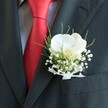 A sharply focused close-up shows the upper torso of a man dressed for a special celebration in Golders Green, perhaps stepping out of a classic car on Finchley Road just before his wedding. He wears a deep charcoal, almost black suit jacket tailored neatly across the shoulders, the fabric smooth and slightly matt under soft natural light. On the lapel, a single white orchid boutonniere takes centre stage, its broad, velvety petals curving outward like porcelain wings. At the heart of the orchid, a subtle yellow-cream throat with the faintest touch of blush draws the eye inward, suggesting quiet elegance. Surrounding the bloom are tiny clusters of white baby's breath, each minute flower forming a cloud-like halo that softens the line of the jacket. Fine, grass-like green foliage fans out behind the flowers, adding movement and a fresh, garden-picked feel, as though it has just been arranged by a local florist moments before walking into a ceremony near Golders Hill Park. The stems are gathered carefully and wrapped in a delicate sheer white ribbon, tied in a small, precise bow that rests neatly against the lapel. Beneath the boutonniere, a vivid red silk tie cuts diagonally through the composition, its satin sheen catching the light against a subtly patterned, pale dress shirt. Together, the crisp shirt, bold tie, and refined white orchid buttonhole create a look that feels modern yet timeless, full of quiet anticipation, as if capturing a single breath before vows are spoken and photographs are taken outside a favourite synagogue or registry office in NW11.